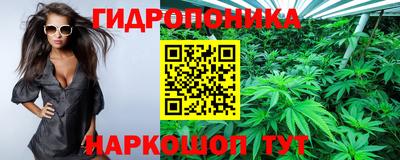 бошки Лесосибирск