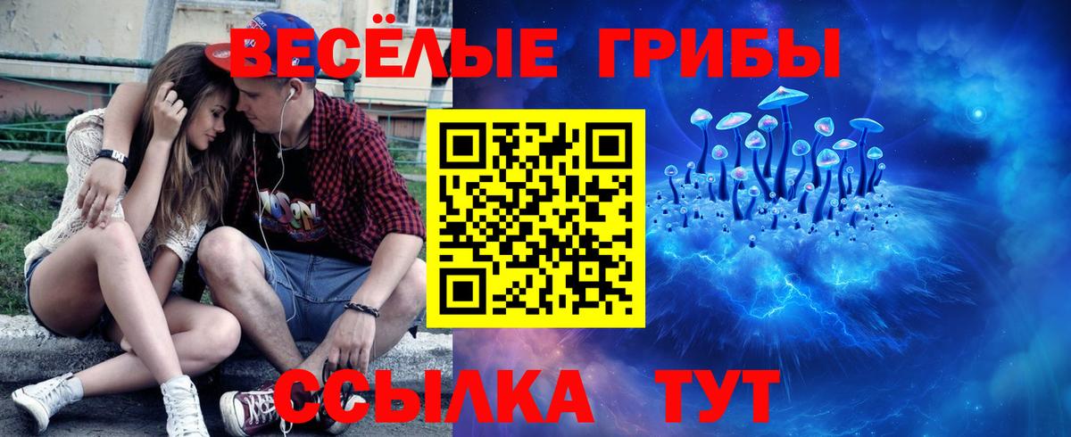 Псилоцибиновые грибы GOLDEN TEACHER  Псилоцибиновые грибы прущие грибы  Вход с VPN  Благовещенск 